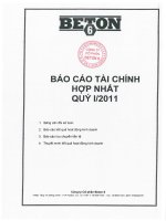 Báo cáo tài chính hợp nhất quý 1 năm 2011 - Công ty Cổ phần Beton 6