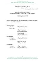 Báo cáo thường niên năm 2007 - Công ty Cổ phần Đầu tư CMC