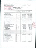 Báo cáo tài chính quý 1 năm 2013 - Công ty cổ phần Chứng khoán Ngân hàng Đầu tư và Phát triển Việt Nam