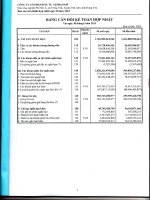 Báo cáo tài chính hợp nhất quý 2 năm 2013 - Công ty Cổ phần Đầu tư Alphanam