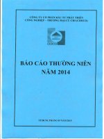 Báo cáo thường niên năm 2014 - Công ty Cổ phần Đầu tư Phát triển Công nghiệp - Thương mại Củ Chi
