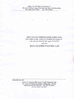 Báo cáo tài chính công ty mẹ năm 2015 (đã kiểm toán) - Công ty Cổ phần Xây dựng 47