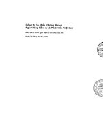 Báo cáo tài chính quý 2 năm 2015 (đã soát xét) - Công ty cổ phần Chứng khoán Ngân hàng Đầu tư và Phát triển Việt Nam