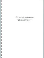 Báo cáo tài chính quý 2 năm 2010 (đã soát xét) - Công ty Cổ phần Xi măng Bỉm Sơn