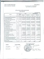 Báo cáo KQKD quý 2 năm 2012 - Công ty cổ phần Khoáng sản Bình Định