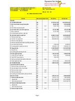 Báo cáo tài chính công ty mẹ quý 1 năm 2013 - Công ty Cổ phần Bê tông Biên Hòa