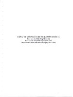 Báo cáo tài chính năm 2012 - Công ty Cổ phần Chứng khoán ASC