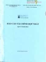 Báo cáo tài chính hợp nhất quý 1 năm 2014 - Công ty Cổ phần Đầu tư Châu Á - Thái Bình Dương