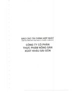 Báo cáo tài chính hợp nhất năm 2013 (đã kiểm toán) - Công ty cổ phần Thực phẩm Nông sản Xuất khẩu Sài Gòn