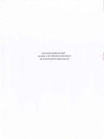 Báo cáo tài chính hợp nhất quý 1 năm 2016 - Công ty cổ phần Đầu tư AMD Group