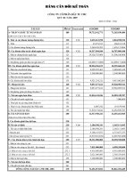 Báo cáo tài chính quý 3 năm 2009 - Công ty Cổ phần Đầu tư CMC