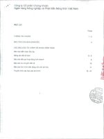 Báo cáo tài chính năm 2011 (đã kiểm toán) - Công ty Cổ phần Chứng khoán Nông nghiệp và Phát triển Nông thôn