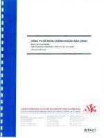 Báo cáo tài chính năm 2009 (đã kiểm toán) - Công ty Cổ phần Chứng khoán Bảo Minh