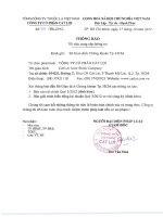 Báo cáo tài chính quý 3 năm 2012 - Công ty Cổ phần Cát Lợi