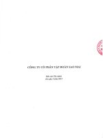 Báo cáo tài chính công ty mẹ quý 3 năm 2015 - Công ty Cổ phần Tập đoàn Sao Mai