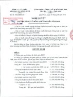Nghị quyết Đại hội cổ đông thường niên năm 2010 - Công ty cổ phần Khoáng sản Bình Định