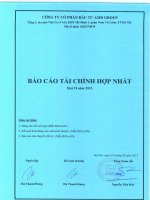 Báo cáo tài chính hợp nhất quý 2 năm 2015 - Công ty cổ phần Đầu tư AMD Group