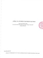 Báo cáo tài chính hợp nhất năm 2015 (đã kiểm toán) - Công ty Cổ phần Tập đoàn Sao Mai