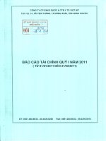 Báo cáo tài chính quý 1 năm 2011 - CTCP Sản xuất Kinh doanh Dược và Trang thiết bị Y tế Việt Mỹ