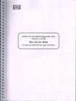 Báo cáo tài chính năm 2013 (đã kiểm toán) - Công ty Cổ phần Khoáng sản Vinas A Lưới