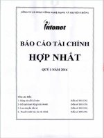Báo cáo tài chính hợp nhất quý 1 năm 2016 - Công ty Cổ phần Công nghệ Mạng và Truyền thông