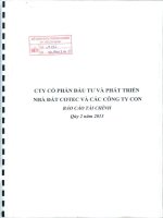 Báo cáo tài chính hợp nhất quý 2 năm 2013 - Công ty Cổ phần Đầu tư và Phát triển Nhà đất COTEC
