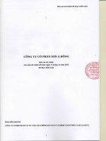 Báo cáo tài chính năm 2013 (đã kiểm toán) - Công ty Cổ phần Sơn Á Đông
