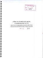 Báo cáo tài chính công ty mẹ năm 2015 (đã kiểm toán) - Công ty Cổ phần Xây dựng và Kinh doanh Vật tư