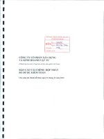 Báo cáo tài chính hợp nhất năm 2013 (đã kiểm toán) - Công ty Cổ phần Xây dựng và Kinh doanh Vật tư