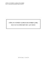 Báo cáo tài chính hợp nhất quý 3 năm 2011 - Công ty Cổ phần Alphanam E&C