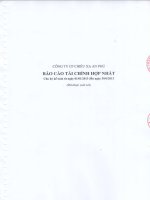 Báo cáo tài chính hợp nhất quý 2 năm 2013 (đã soát xét) - Công ty Cổ phần Chiếu xạ An Phú