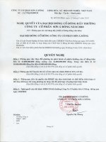 Nghị quyết đại hội cổ đông ngày 12-8-2010 - Công ty Cổ phần Sơn Á Đông