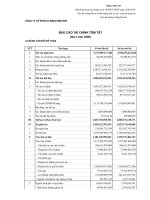 Báo cáo tài chính quý 1 năm 2009 - Công ty Cổ phần Xi măng Bỉm Sơn