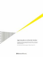 Báo cáo tài chính hợp nhất năm 2010 (đã kiểm toán) - Ngân hàng Thương mại cổ phần Đầu tư và Phát triển Việt Nam