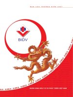 Báo cáo thường niên năm 2007 - Ngân hàng Thương mại cổ phần Đầu tư và Phát triển Việt Nam