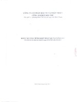 Báo cáo tài chính hợp nhất quý 2 năm 2015 - Công ty cổ phần Đầu tư và Phát triển Công nghiệp Bảo Thư