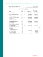 Báo cáo tài chính năm 2007 (đã kiểm toán) - Công ty Cổ phần Đầu tư Châu Á - Thái Bình Dương