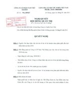 Nghị quyết Hội đồng Quản trị ngày 24-2-2011 - Công ty Cổ phần Nam Việt