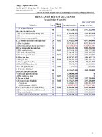 Báo cáo tài chính quý 2 năm 2011 (đã soát xét) - Công ty Cổ phần Đầu tư CMC