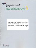 Báo cáo tài chính hợp nhất năm 2011 (đã kiểm toán) - Công ty Cổ phần Nam Việt