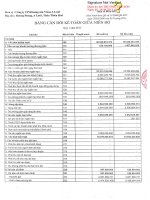 Báo cáo tài chính quý 1 năm 2015 - Công ty Cổ phần Khoáng sản Vinas A Lưới