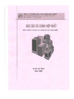 Báo cáo tài chính hợp nhất quý 1 năm 2009 - Công ty Cổ phần Đầu tư Xây dựng Bình Chánh