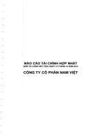 Báo cáo tài chính hợp nhất năm 2013 (đã kiểm toán) - Công ty Cổ phần Nam Việt