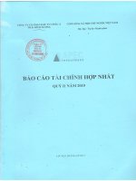 Báo cáo tài chính hợp nhất quý 2 năm 2015 - Công ty Cổ phần Đầu tư Châu Á - Thái Bình Dương