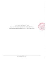 Báo cáo tài chính hợp nhất năm 2014 (đã kiểm toán) - Công ty Cổ phần Tập đoàn C.E.O