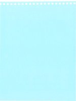 Báo cáo tài chính năm 2007 (đã kiểm toán) - Công ty Cổ phần Đầu tư Phát triển Công nghiệp - Thương mại Củ Chi