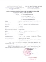 Báo cáo tài chính công ty mẹ quý 1 năm 2016 - Công ty cổ phần Chứng khoán Ngân hàng Đầu tư và Phát triển Việt Nam