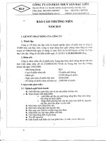 Báo cáo thường niên năm 2013 - Công ty Cổ phần Thủy sản Bạc Liêu