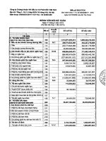 Báo cáo tài chính quý 1 năm 2015 - Công ty cổ phần Chứng khoán Ngân hàng Đầu tư và Phát triển Việt Nam