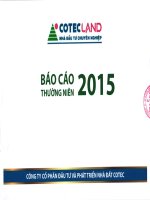 Báo cáo thường niên năm 2015 - Công ty Cổ phần Đầu tư và Phát triển Nhà đất COTEC